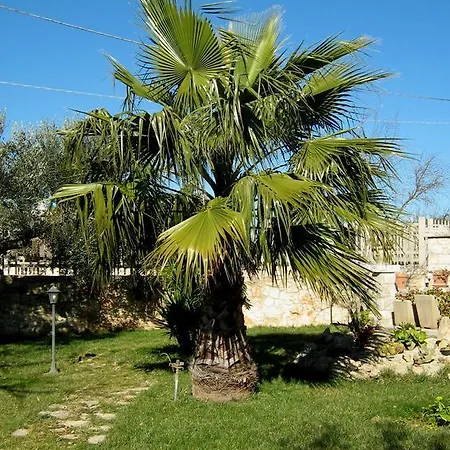 Il Trullo Di Mimmo B&B *